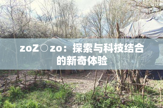 zoZ○zo：探索与科技结合的新奇体验