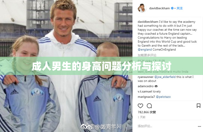 成人男生的身高问题分析与探讨