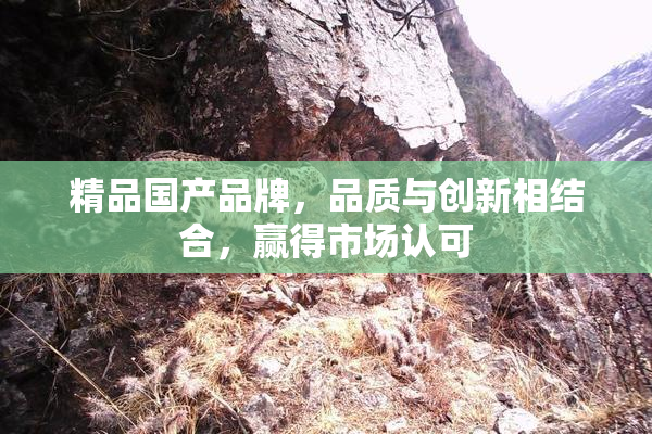 精品国产品牌，品质与创新相结合，赢得市场认可