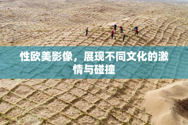 性欧美影像，展现不同文化的激情与碰撞