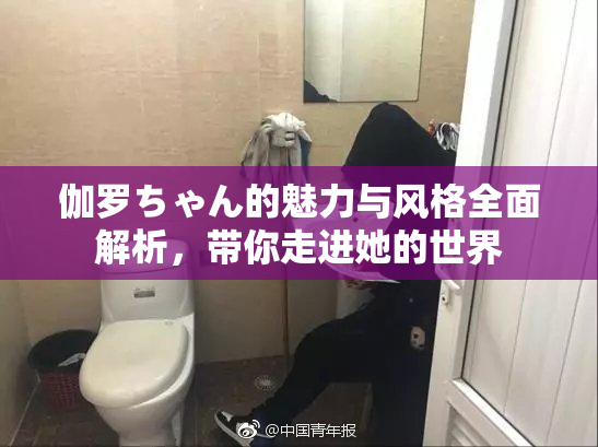 伽罗ちゃん的魅力与风格全面解析，带你走进她的世界