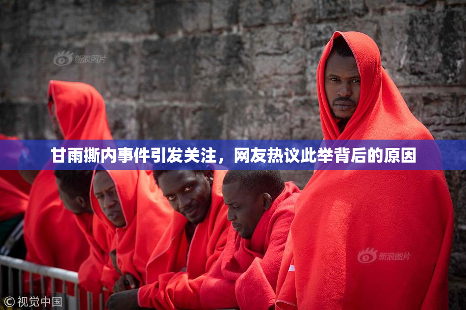 甘雨撕内事件引发关注，网友热议此举背后的原因