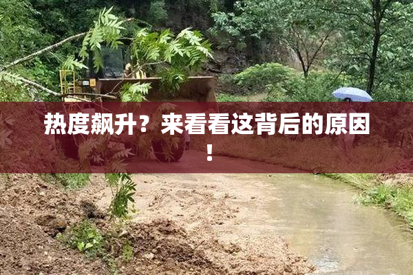 热度飙升？来看看这背后的原因！