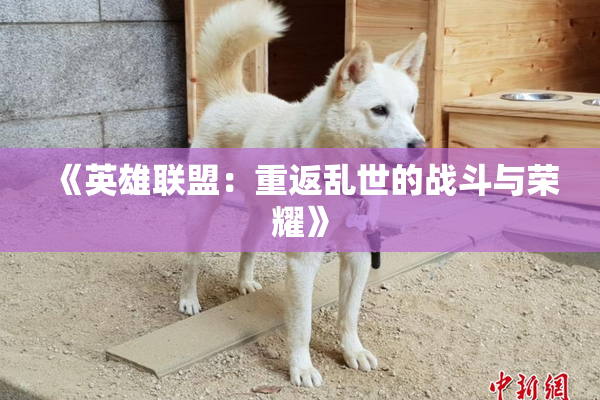 《英雄联盟：重返乱世的战斗与荣耀》
