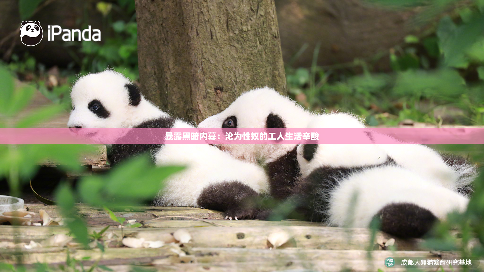 暴露黑暗内幕：沦为性奴的工人生活辛酸