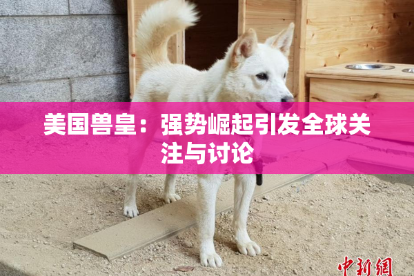 美国兽皇：强势崛起引发全球关注与讨论