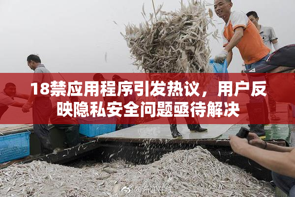 18禁应用程序引发热议，用户反映隐私安全问题亟待解决