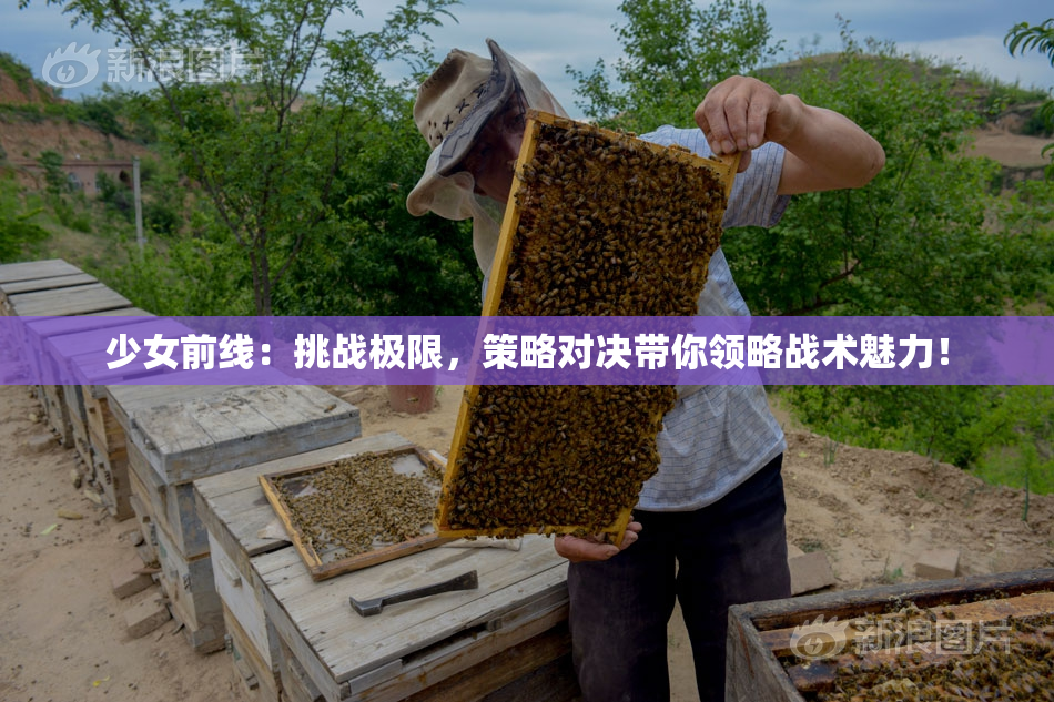 少女前线：挑战极限，策略对决带你领略战术魅力！