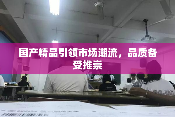 国产精品引领市场潮流，品质备受推崇