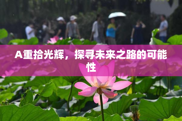A重拾光辉，探寻未来之路的可能性