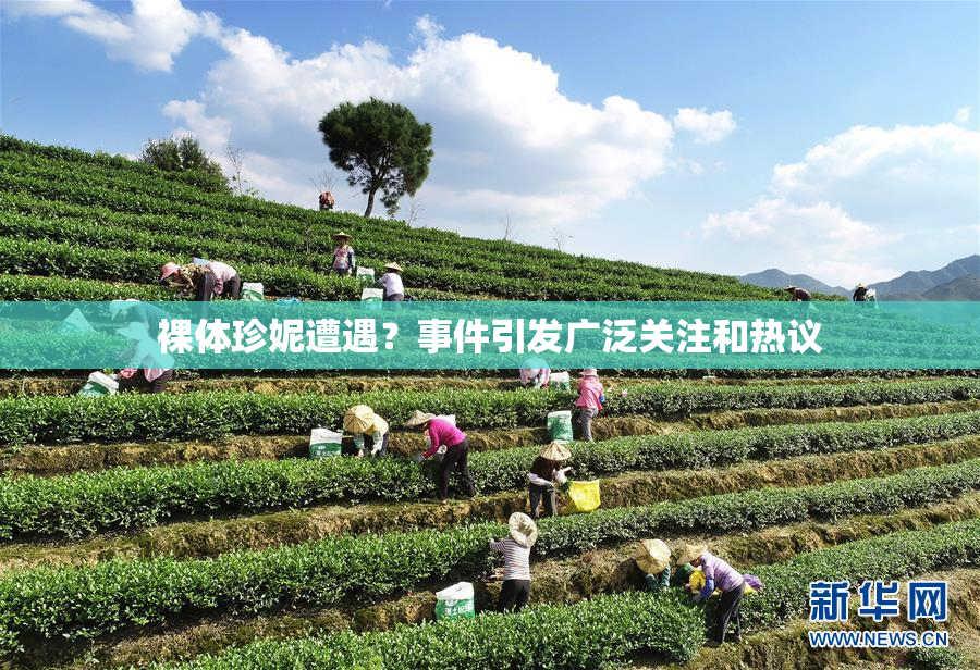 裸体珍妮遭遇？事件引发广泛关注和热议