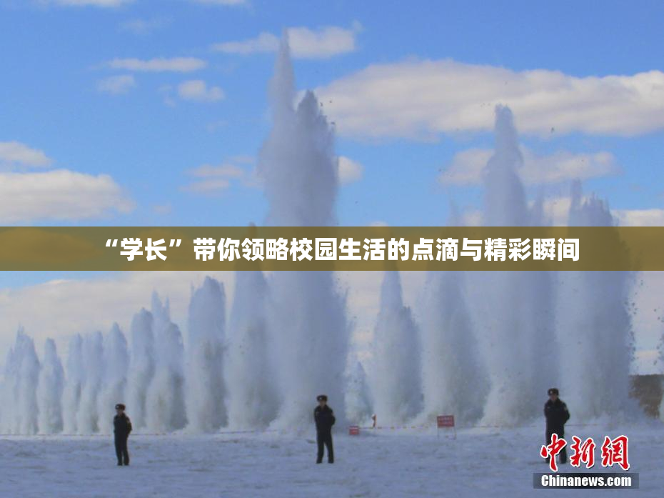 “学长”带你领略校园生活的点滴与精彩瞬间