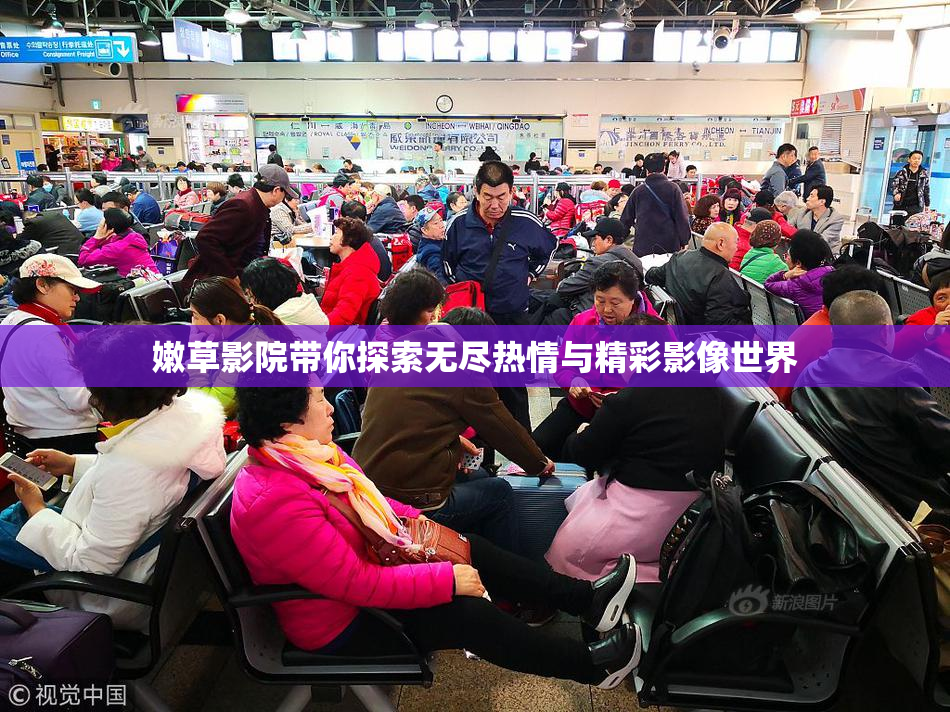嫩草影院带你探索无尽热情与精彩影像世界