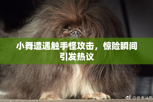 小舞遭遇触手怪攻击，惊险瞬间引发热议