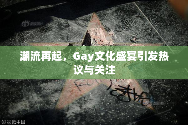 潮流再起，Gay文化盛宴引发热议与关注