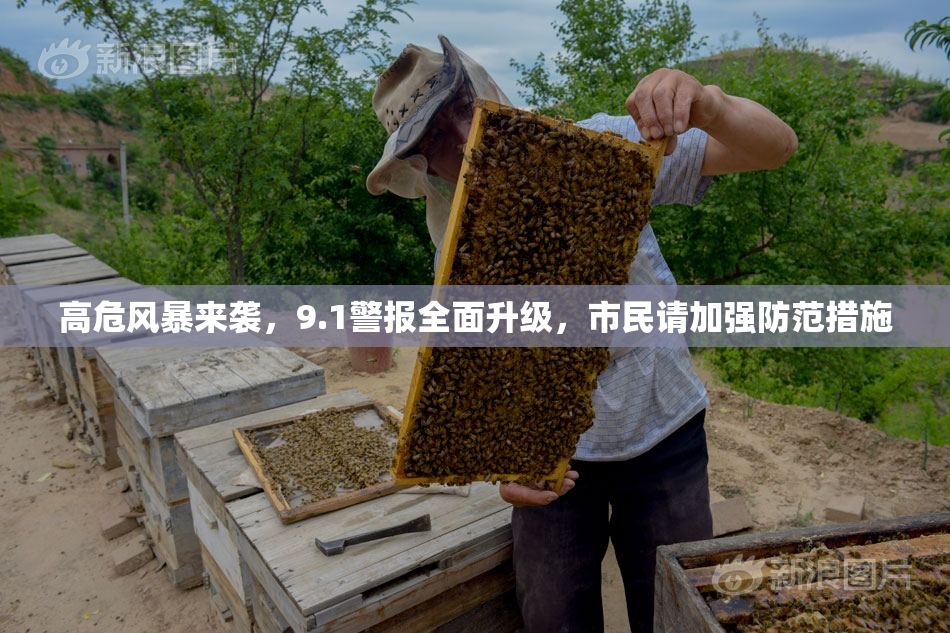 高危风暴来袭，9.1警报全面升级，市民请加强防范措施
