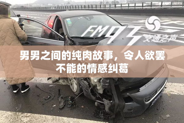 男男之间的纯肉故事，令人欲罢不能的情感纠葛