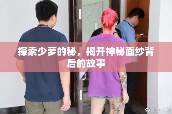 探索少萝的秘，揭开神秘面纱背后的故事