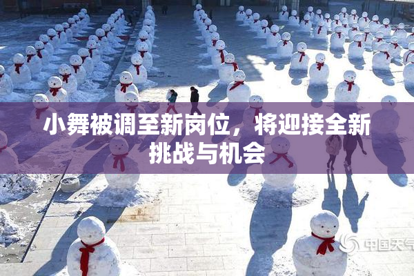 小舞被调至新岗位，将迎接全新挑战与机会