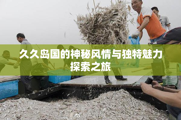 久久岛国的神秘风情与独特魅力探索之旅