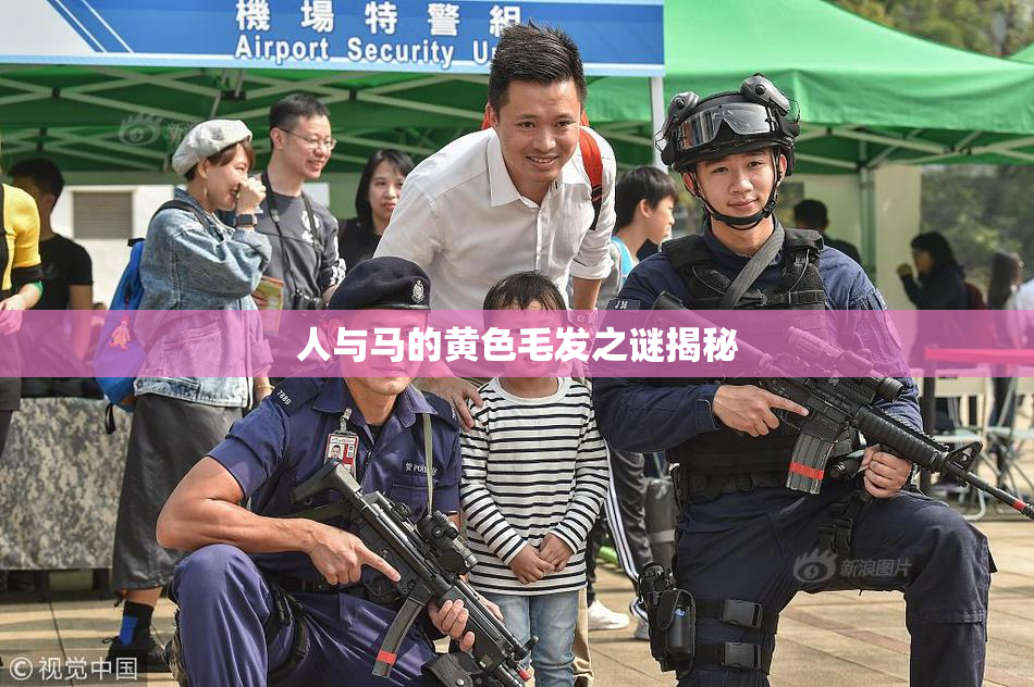 人与马的黄色毛发之谜揭秘