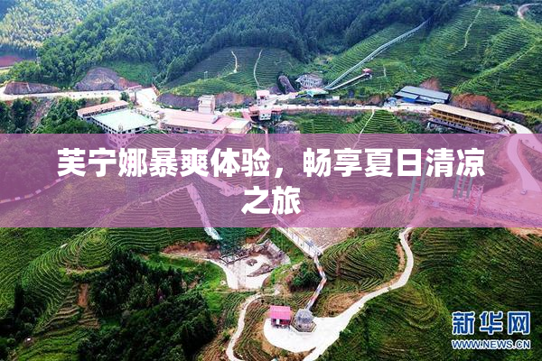 芙宁娜暴爽体验，畅享夏日清凉之旅