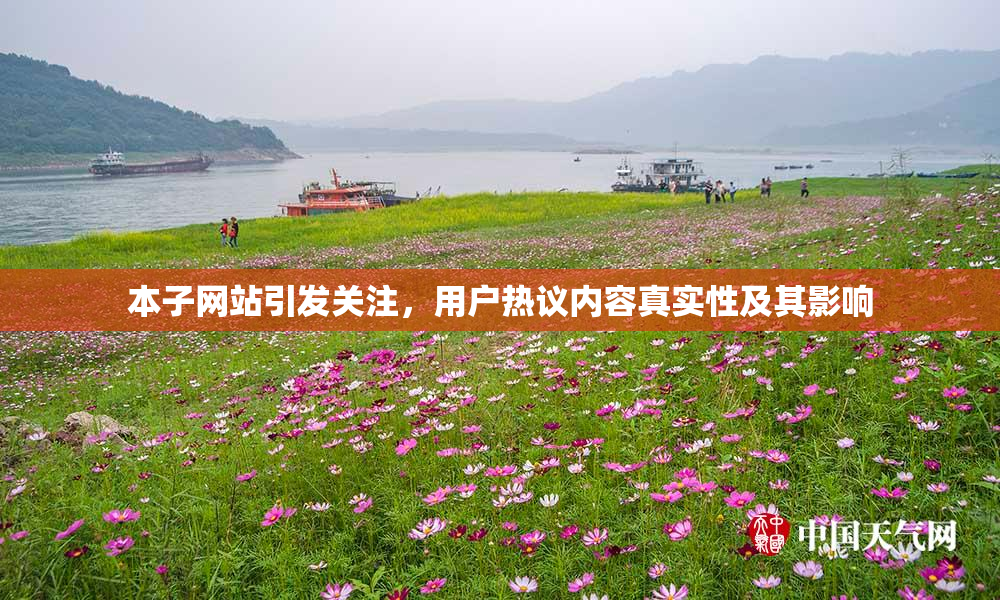 本子网站引发关注，用户热议内容真实性及其影响