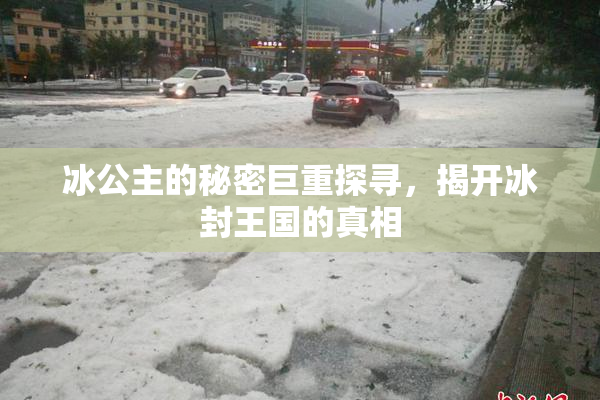 冰公主的秘密巨重探寻，揭开冰封王国的真相