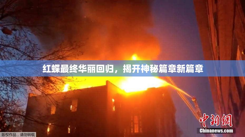 红蝶最终华丽回归，揭开神秘篇章新篇章