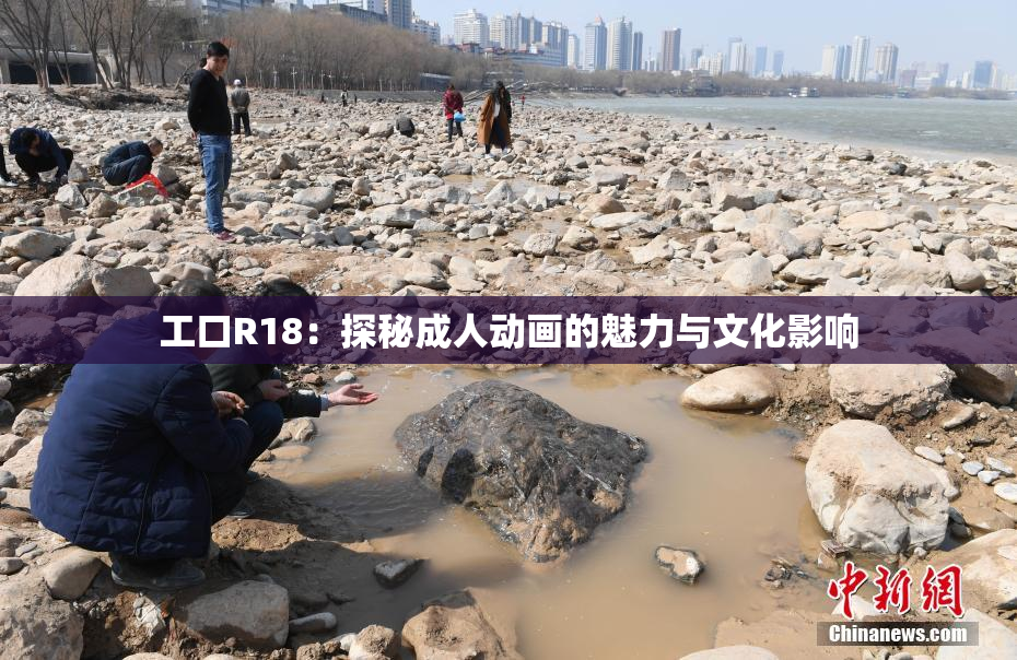 工口R18：探秘成人动画的魅力与文化影响