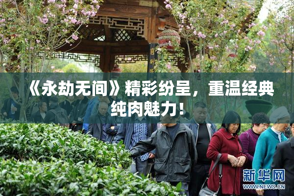 《永劫无间》精彩纷呈，重温经典纯肉魅力！