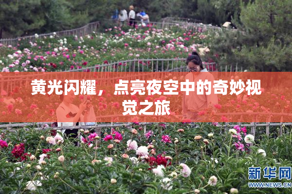 黄光闪耀，点亮夜空中的奇妙视觉之旅