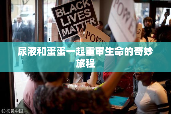 尿液和蛋蛋一起重审生命的奇妙旅程