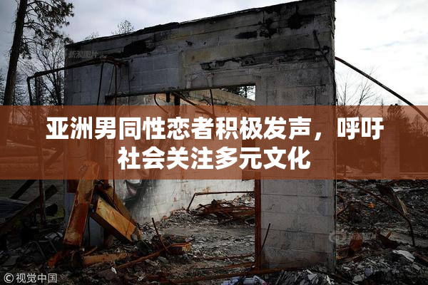 亚洲男同性恋者积极发声，呼吁社会关注多元文化