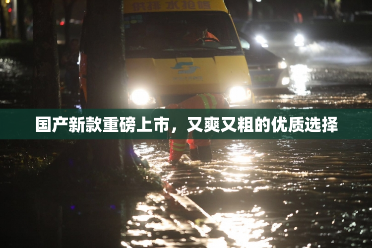 国产新款重磅上市，又爽又粗的优质选择