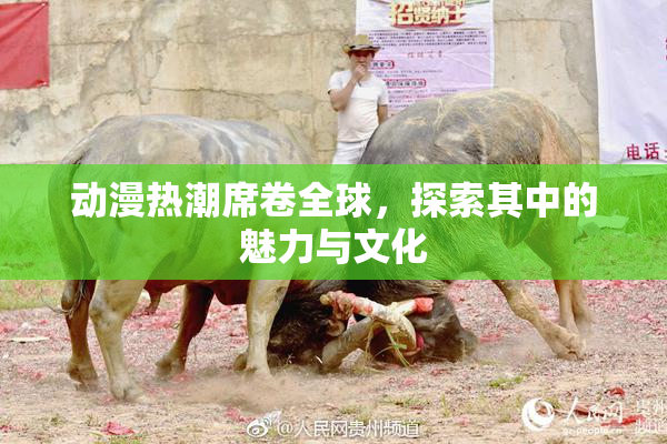 动漫热潮席卷全球，探索其中的魅力与文化