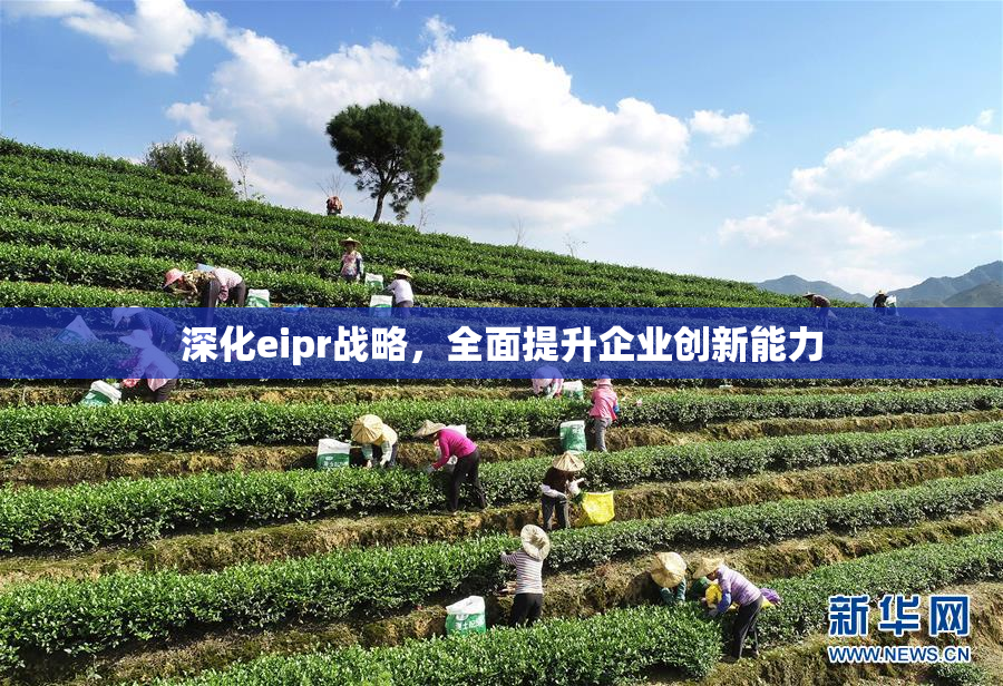 深化eipr战略，全面提升企业创新能力