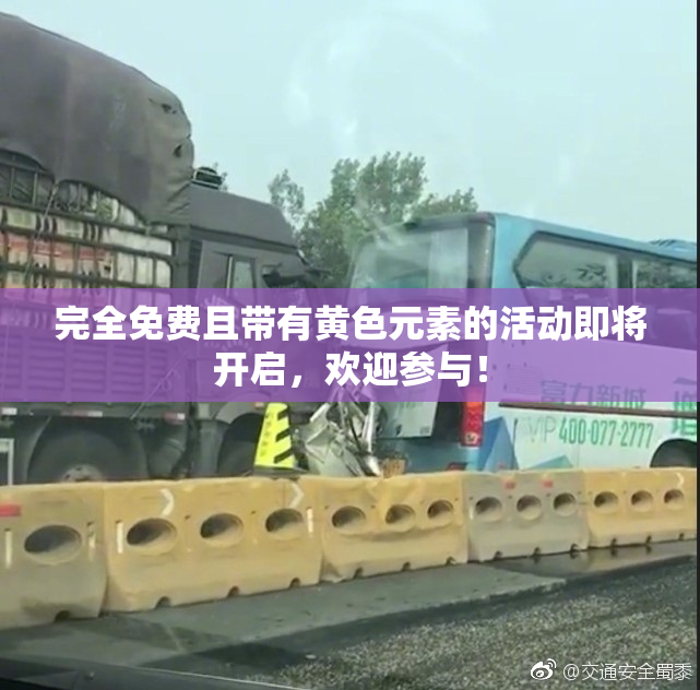 完全免费且带有黄色元素的活动即将开启，欢迎参与！