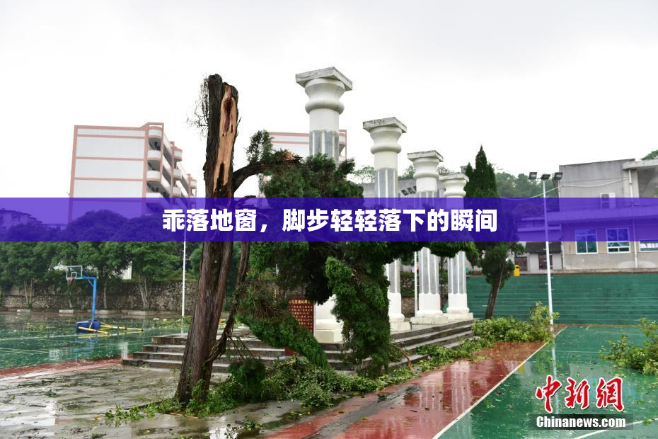 乖落地窗，脚步轻轻落下的瞬间