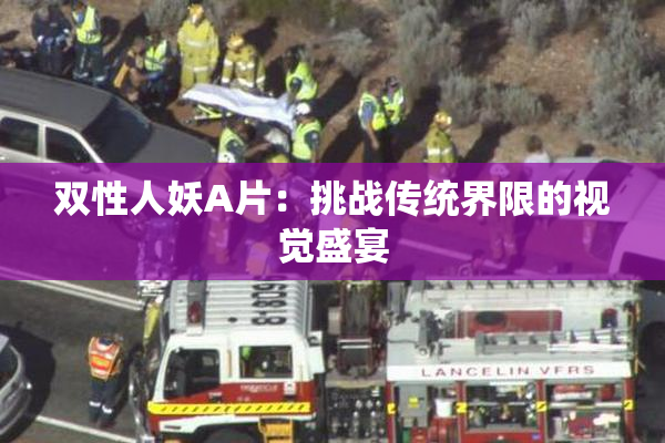 双性人妖A片：挑战传统界限的视觉盛宴