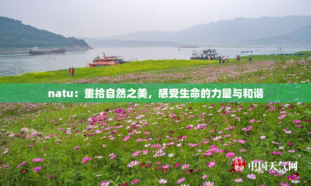 natu：重拾自然之美，感受生命的力量与和谐