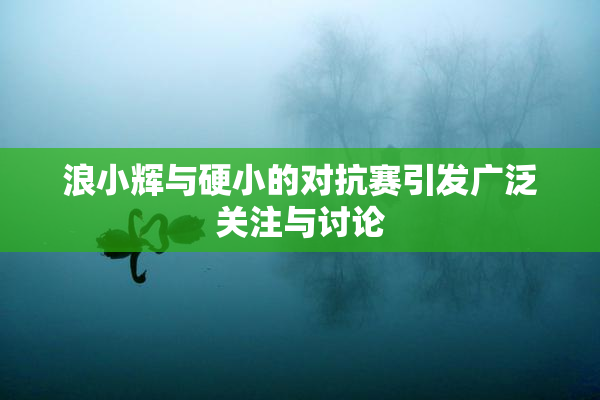 浪小辉与硬小的对抗赛引发广泛关注与讨论