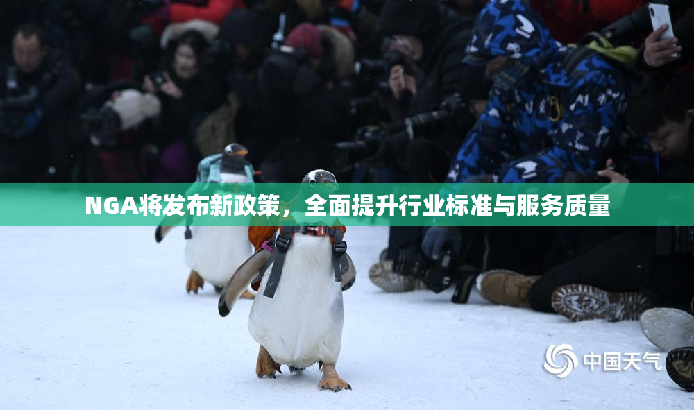 NGA将发布新政策，全面提升行业标准与服务质量