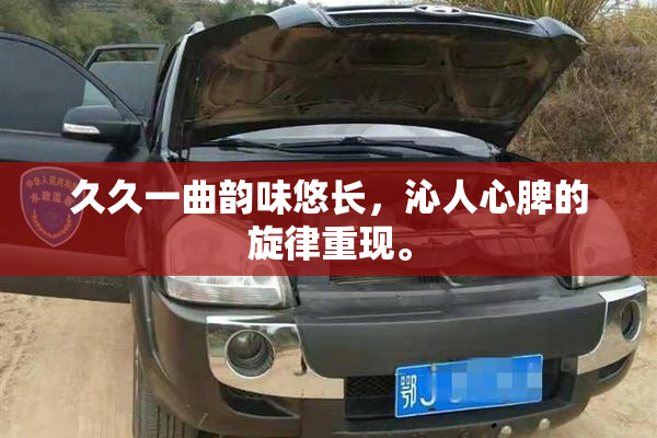 久久一曲韵味悠长，沁人心脾的旋律重现。