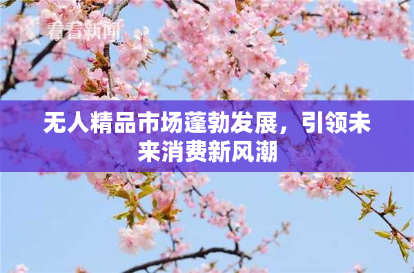 无人精品市场蓬勃发展，引领未来消费新风潮
