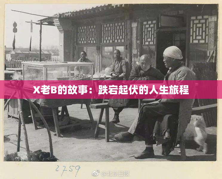 X老B的故事：跌宕起伏的人生旅程