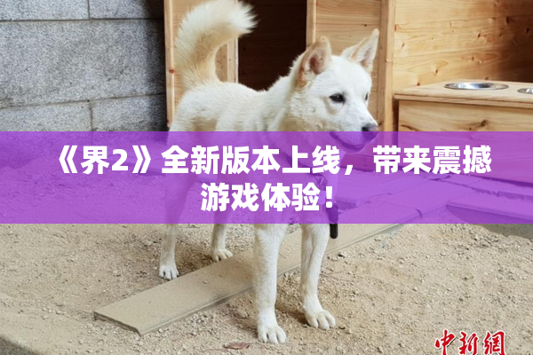 《界2》全新版本上线，带来震撼游戏体验！