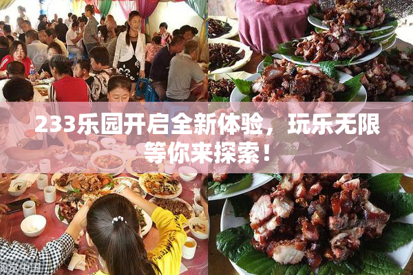 233乐园开启全新体验，玩乐无限等你来探索！