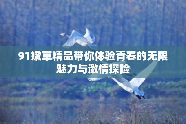 91嫩草精品带你体验青春的无限魅力与激情探险