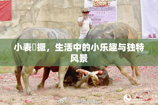 小表妺撅，生活中的小乐趣与独特风景